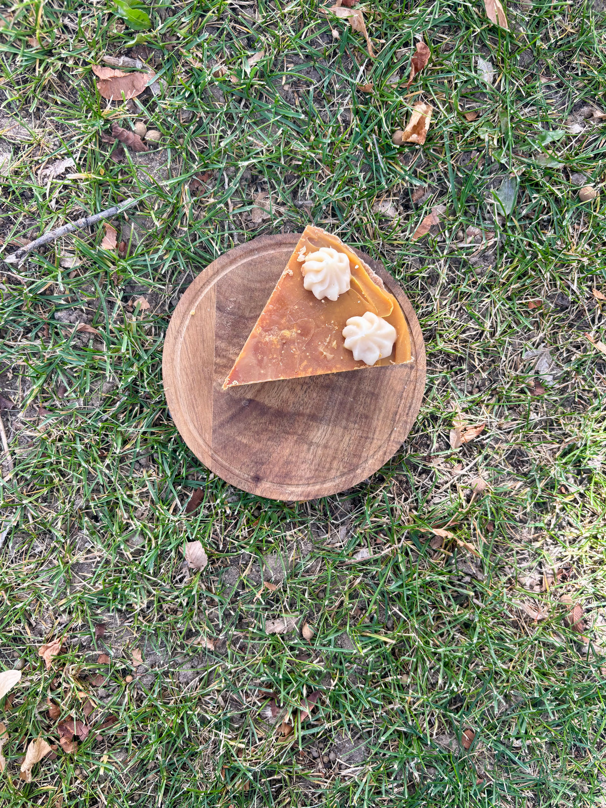 “Pumpkin Pie” Slice Soap Bar