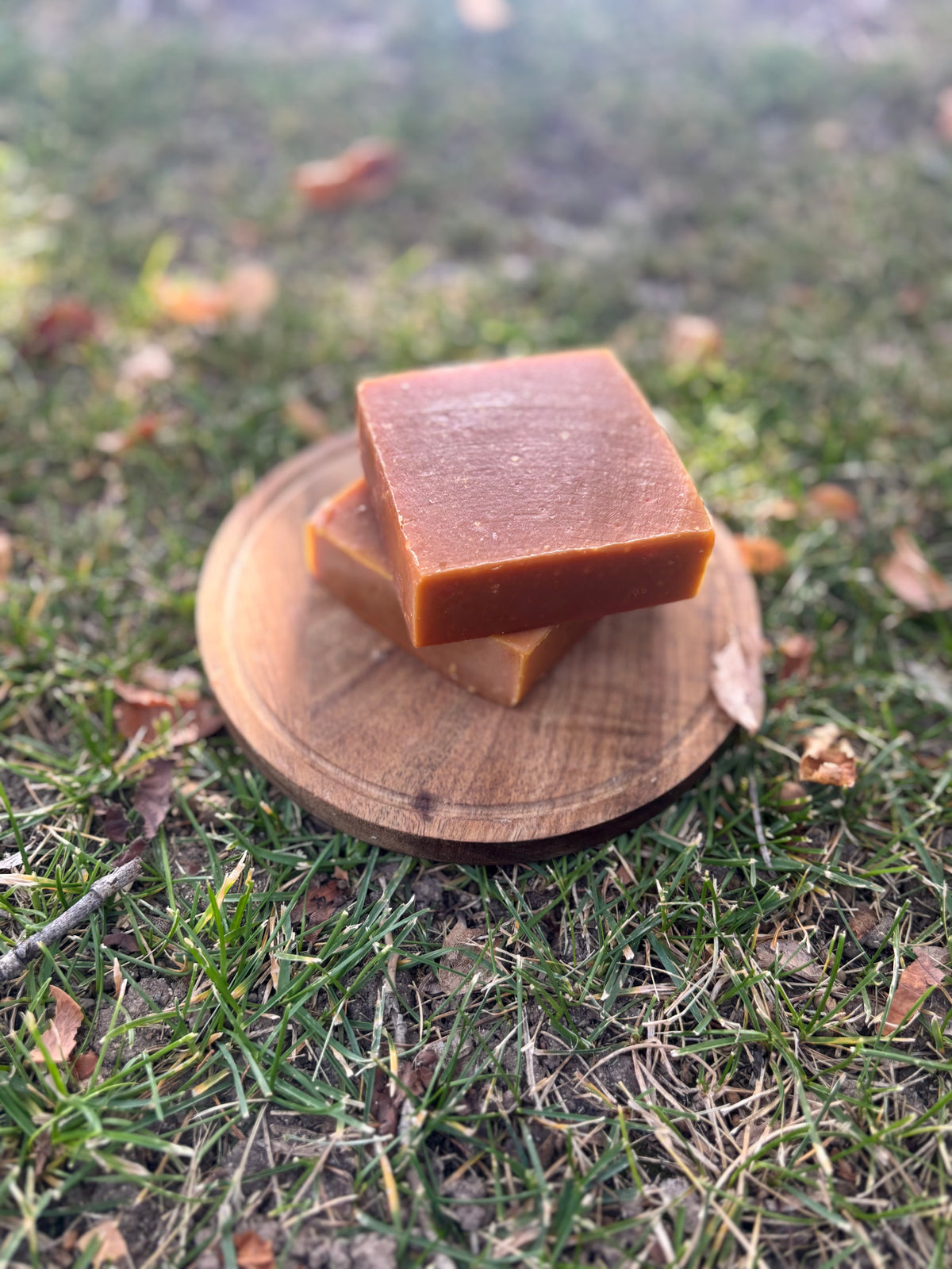 “Pumpkin Spice” Goat Milk and Tallow Soap Bar