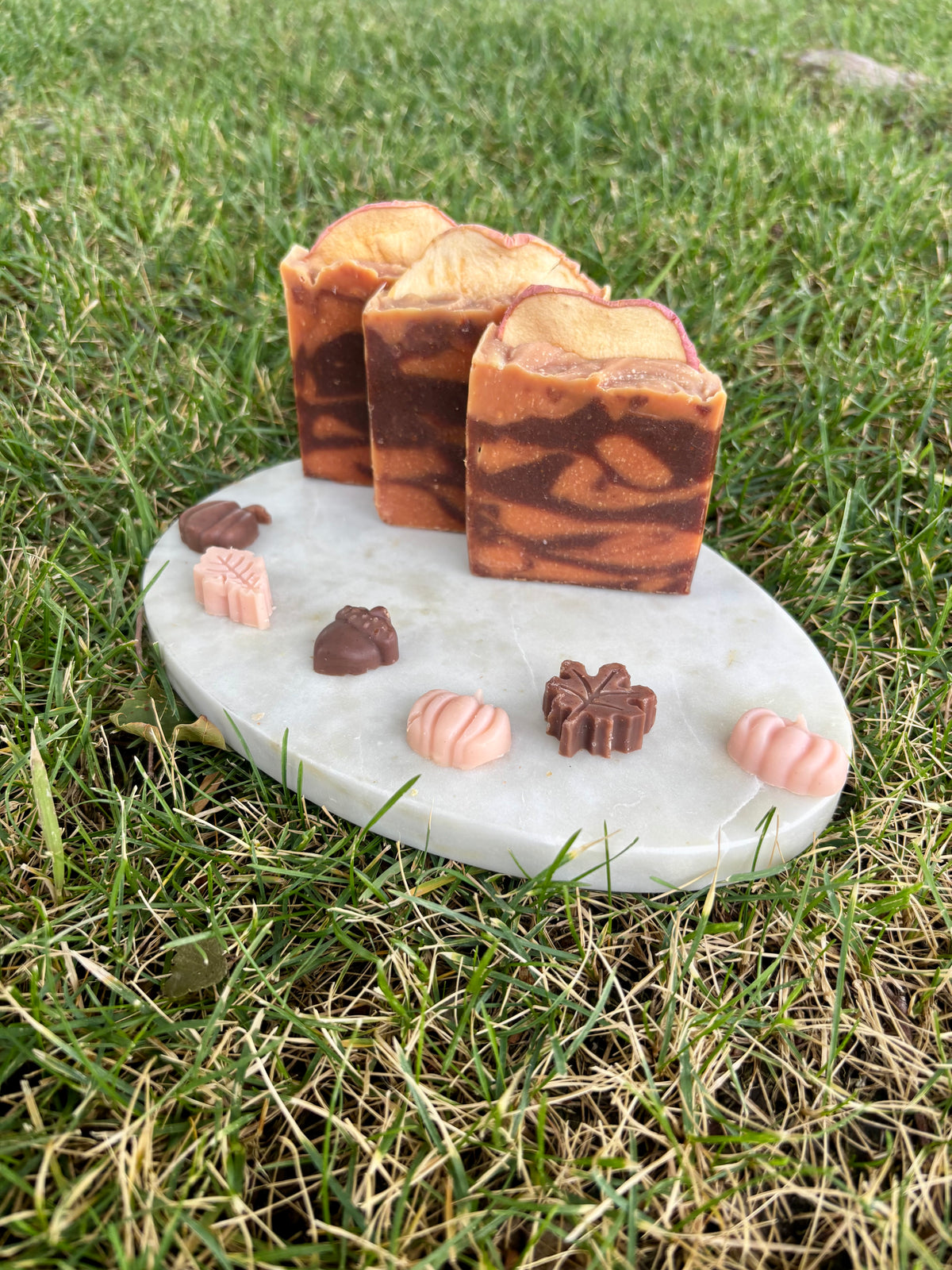 “Apple Spice” Goat Milk and Tallow Soap