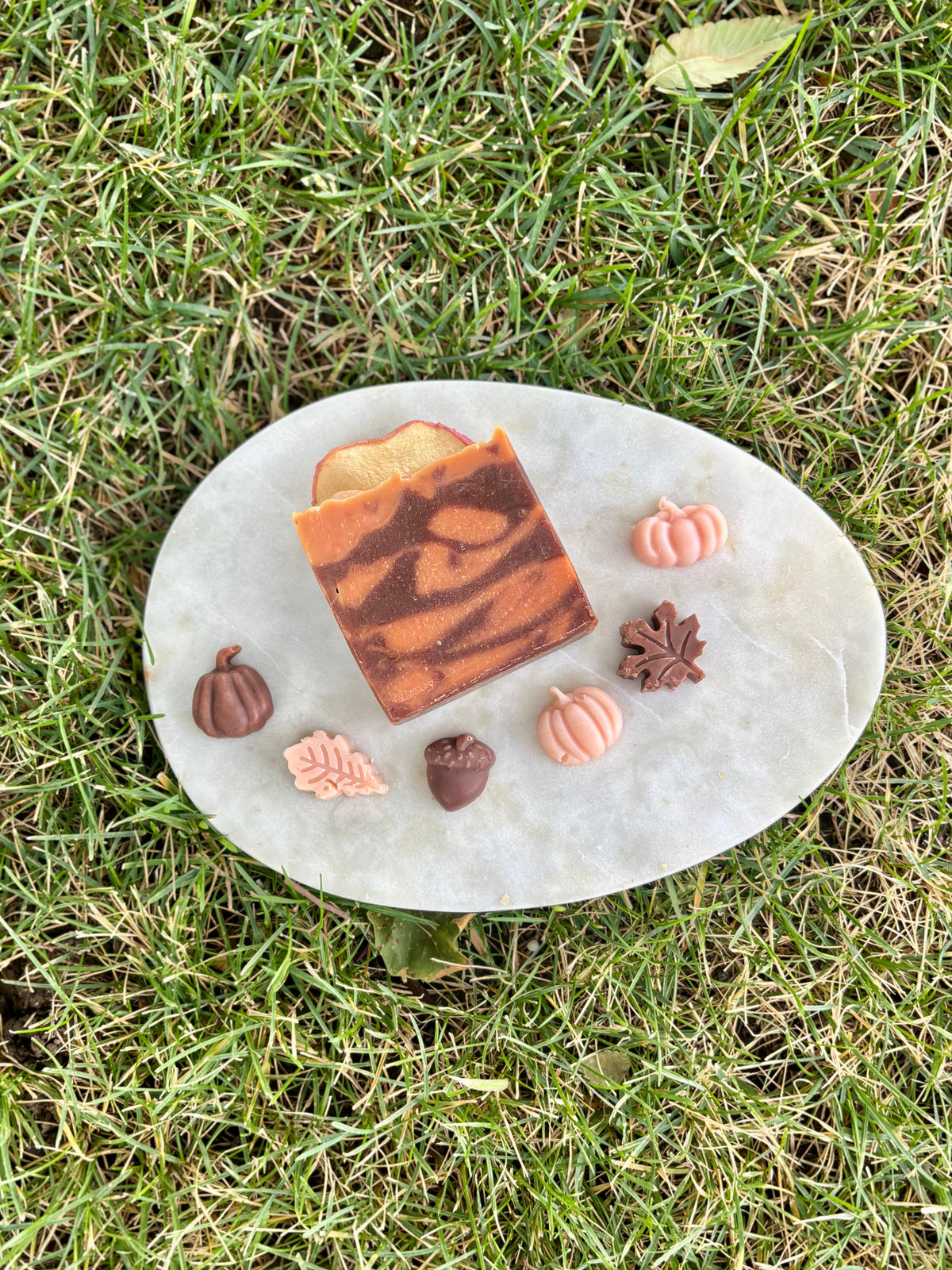 “Apple Spice” Goat Milk and Tallow Soap