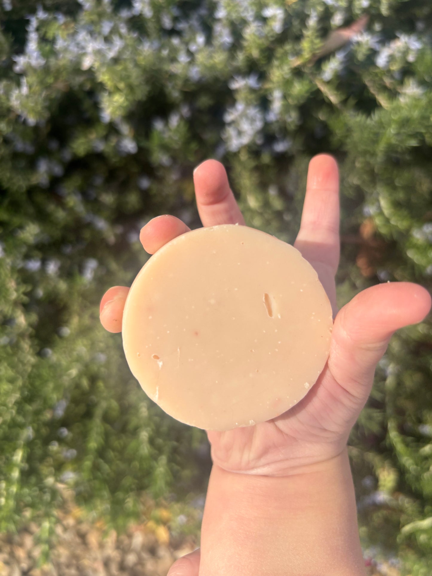 “Circles” Goat Milk Soap Bar     (Set of 12)