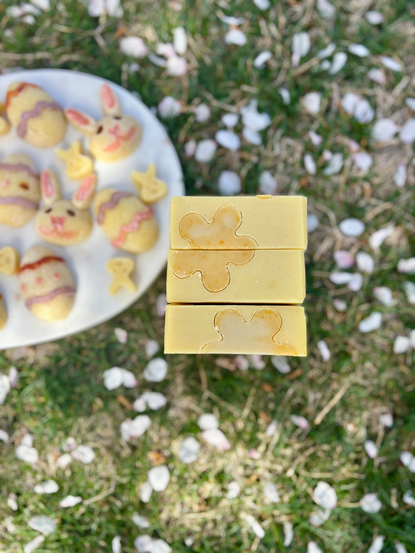 Exclusive Soap Club Membership