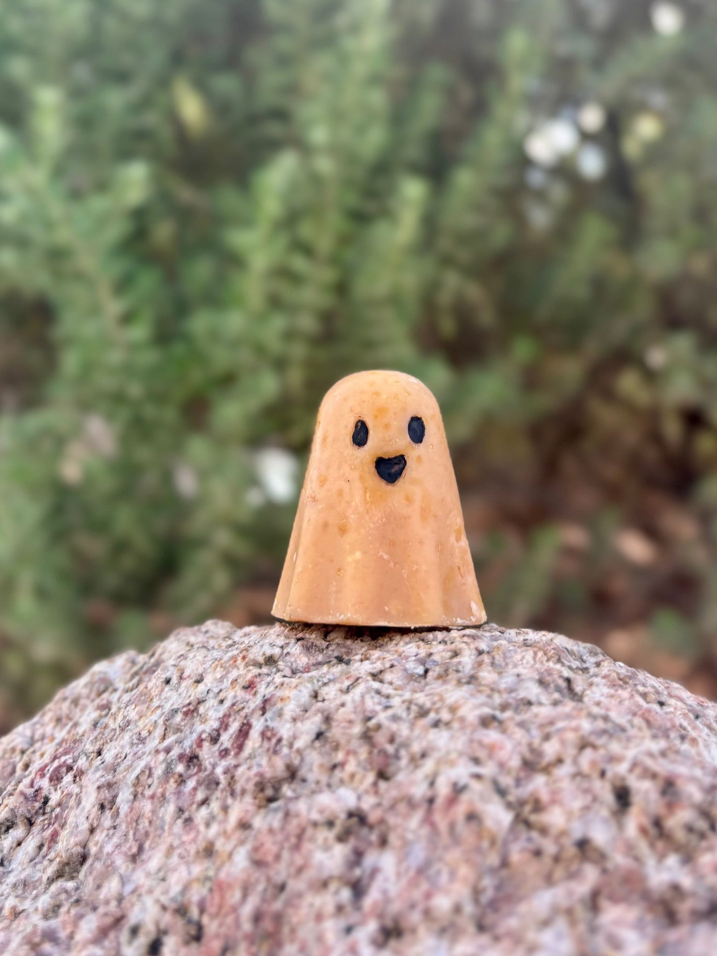 "Lil' Boos" Goat Milk Soap Bars